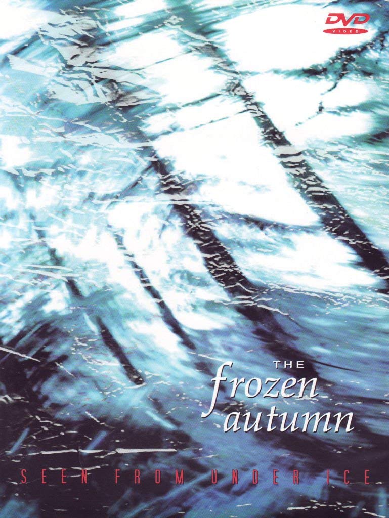 Seen From Under Ice