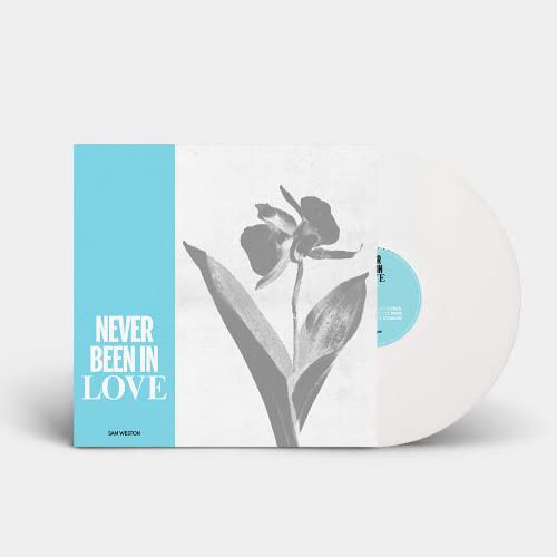 Never Been In Love (Mix