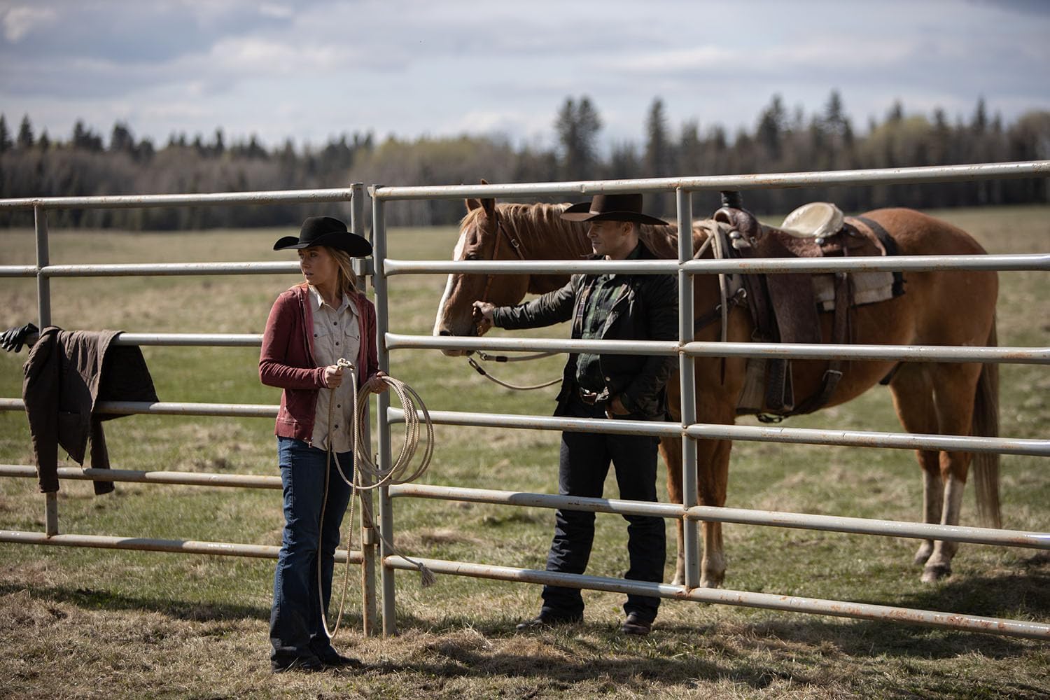 Heartland - Paradies für Pferde - Staffel 13 (Neuauflage)