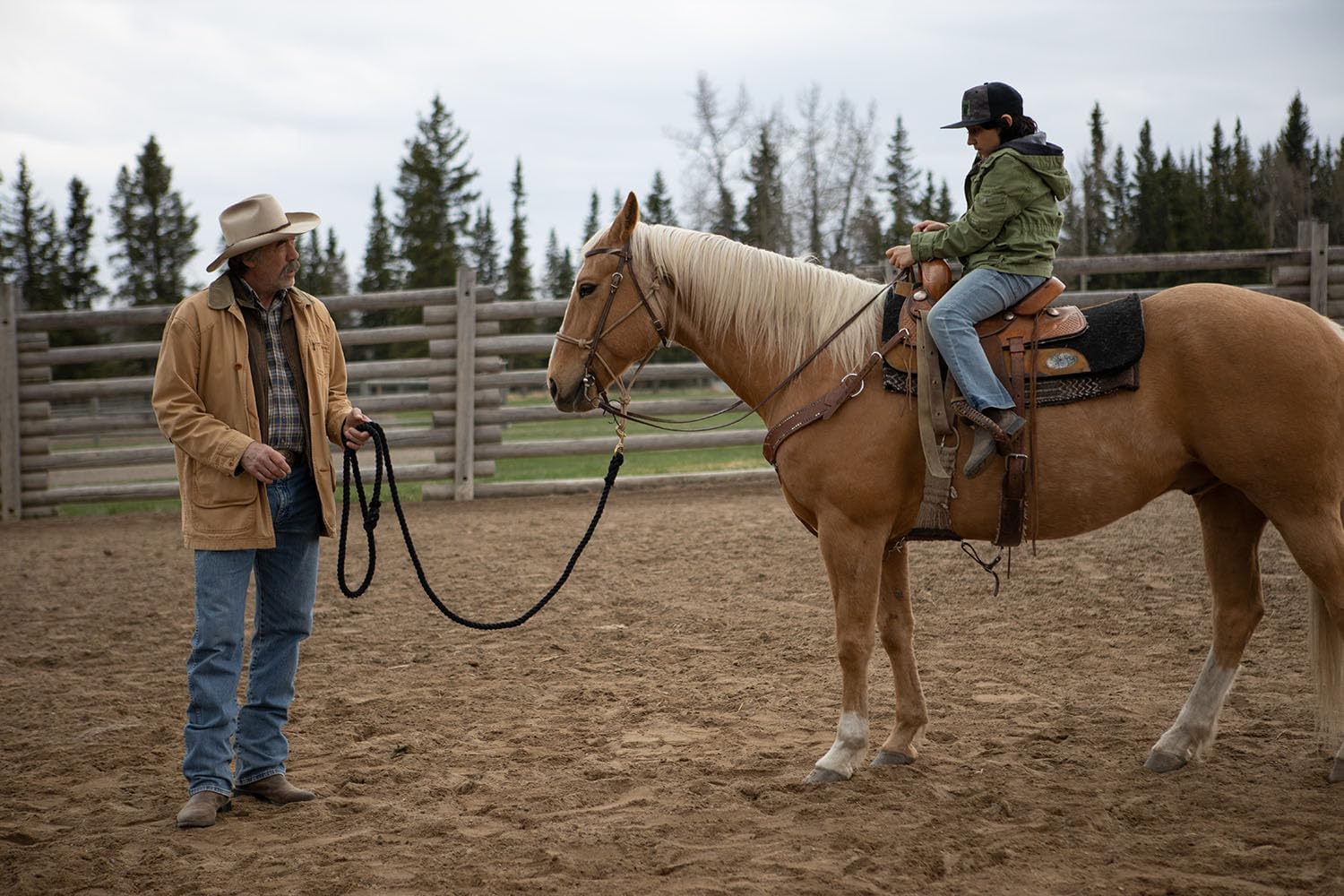 Heartland - Paradies für Pferde - Staffel 13 (Neuauflage)