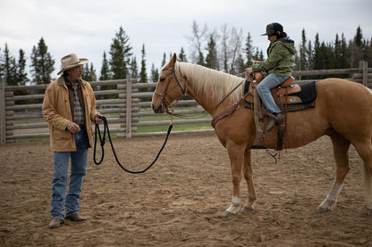 Heartland - Paradies für Pferde - Staffel 13 (Neuauflage)