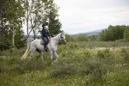 Heartland - Paradies für Pferde - Staffel 13 (Neuauflage)