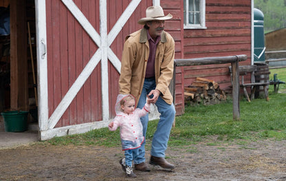 Heartland - Paradies für Pferde - Staffel 12 (Neuauflage