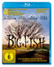 Big Fish - Der Zauber, der ein Leben zur Legende macht (Blu-ray