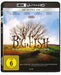 Big Fish 4K   (English audio. English subtitles)