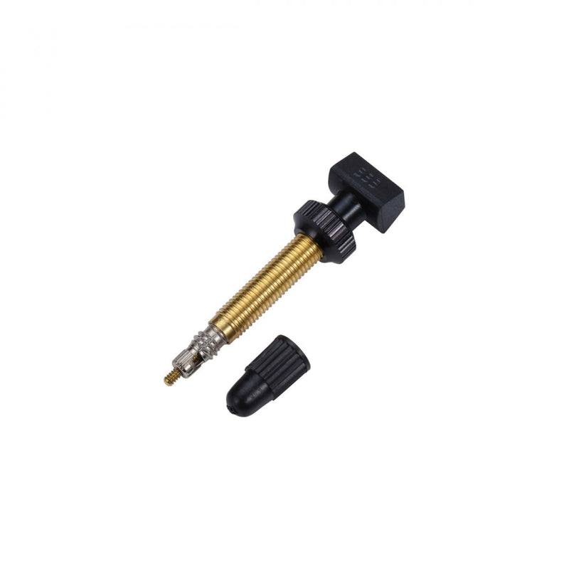 BTI-159 - Tubeless Valves (60mm, +2)