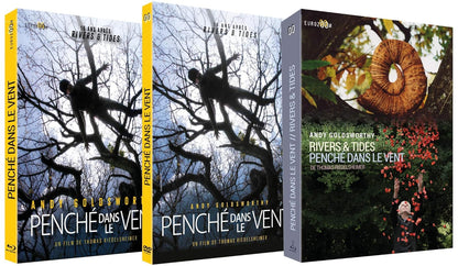 Penché dans le vent