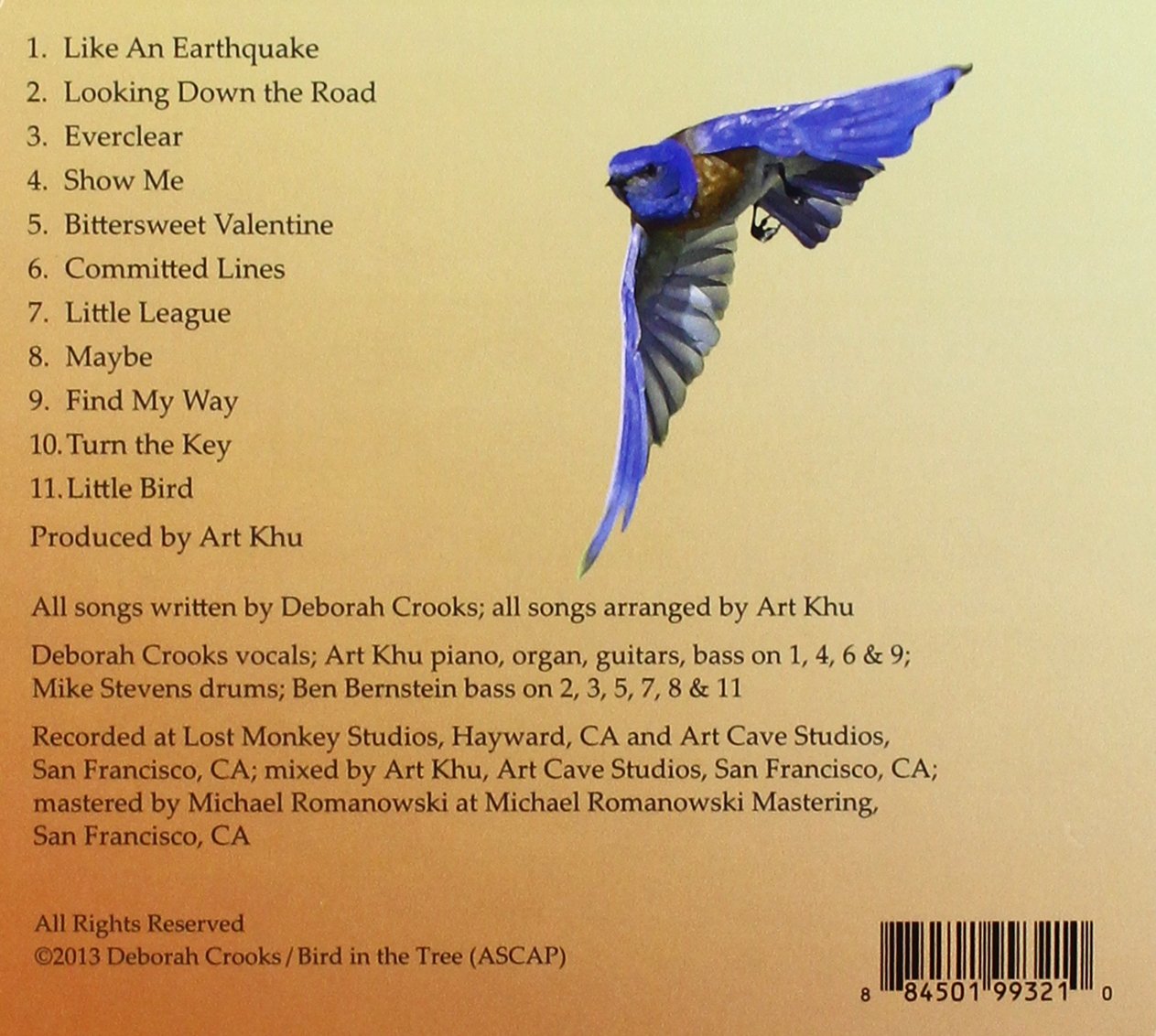 Little Bird