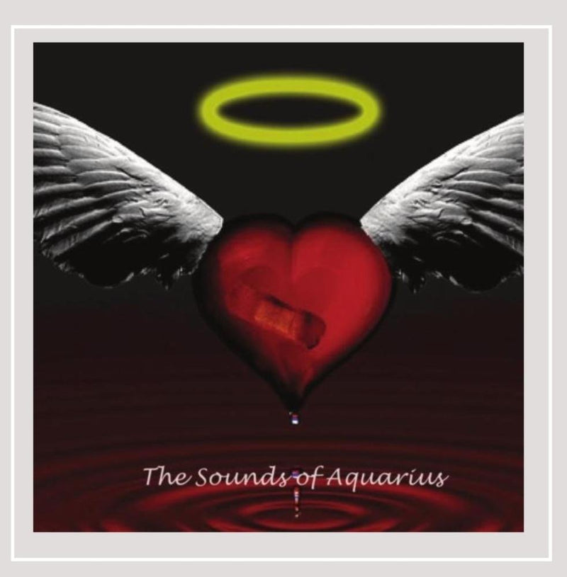 The Sounds Of Aquarius