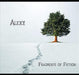 Fragments of Fiction