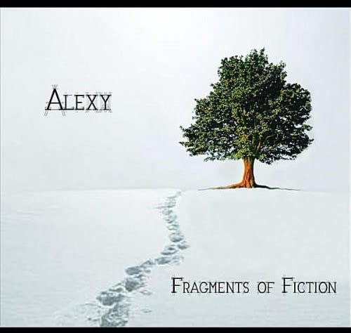 Fragments of Fiction