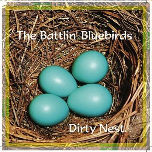 Dirty Nest