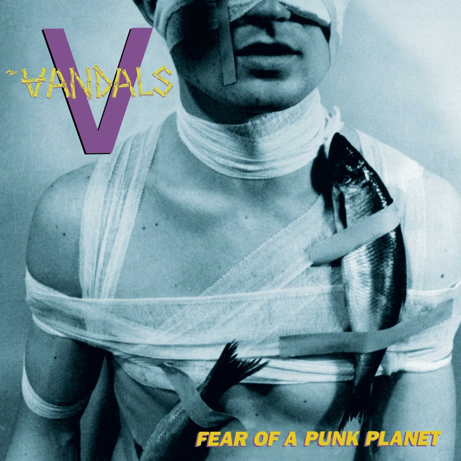 Fear of a Punk Planet