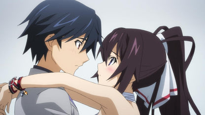Infinite Stratos 2 - Volume 2