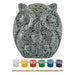 Grafix Rock Painting Owl Painting Stones Set
