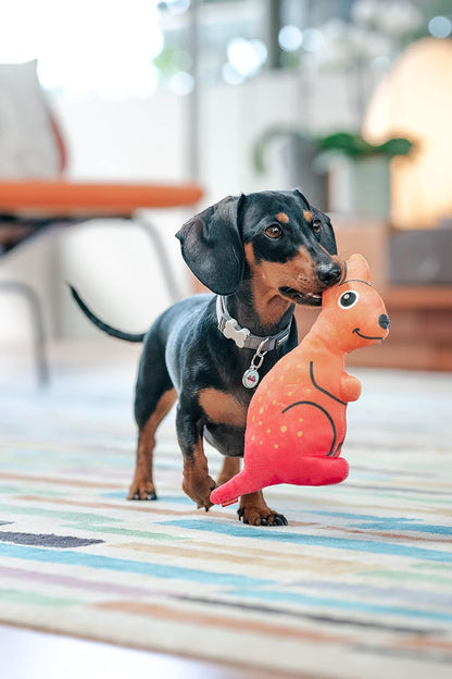Red Dingo DURABLES - Kath the Kangaroo - Ultra-Durable Soft Toys for Dogs