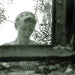 Terrace of Memories