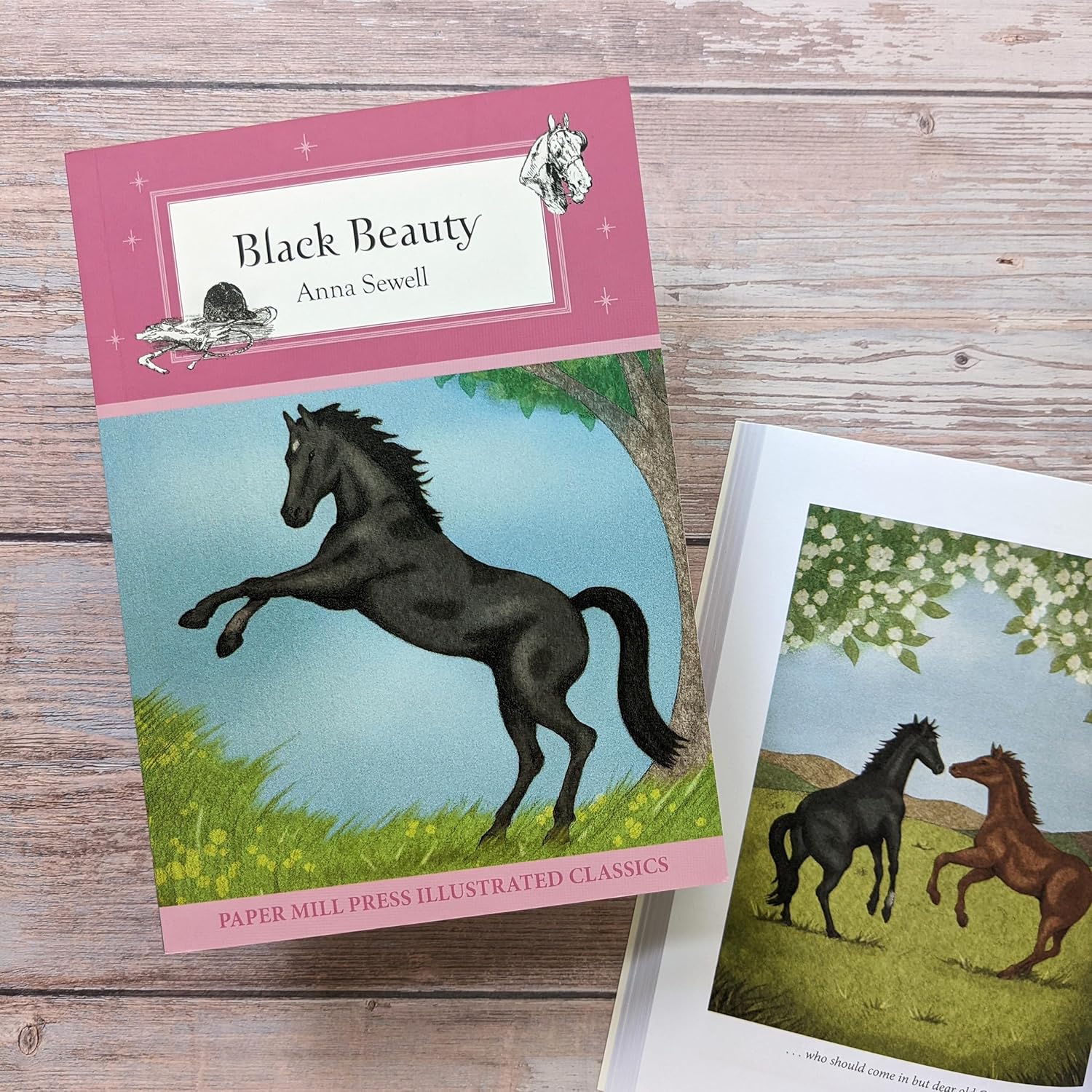 Black Beauty