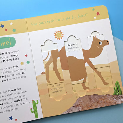 Desert Animals