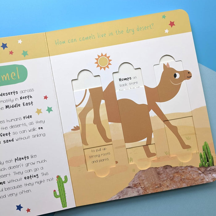 Desert Animals: Who is Hiding in the Puzzle? (Little Wonders Puzzle Slider Board Book