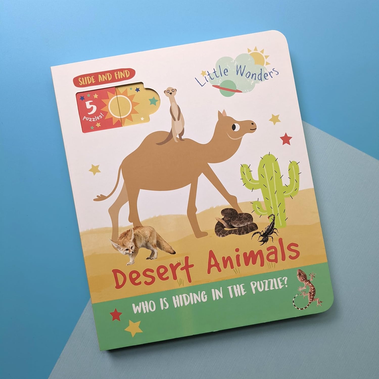 Desert Animals