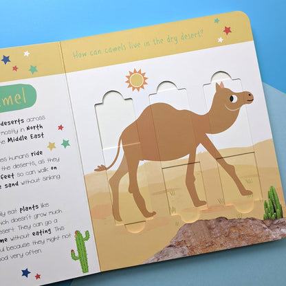 Desert Animals