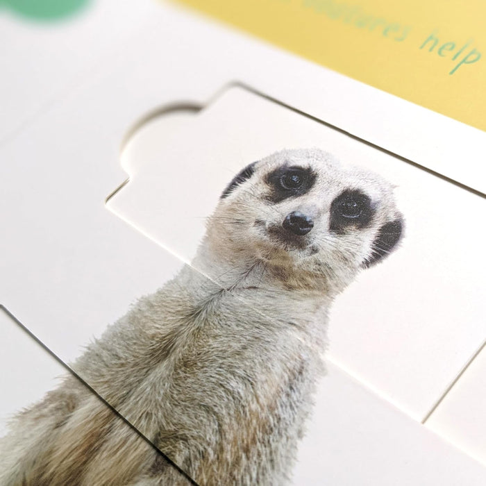 Desert Animals: Who is Hiding in the Puzzle? (Little Wonders Puzzle Slider Board Book