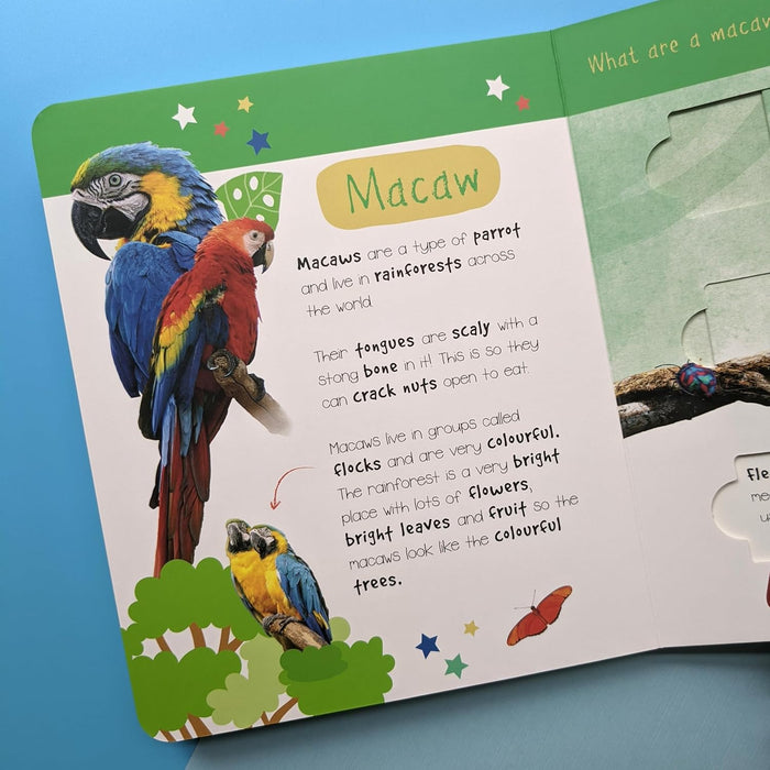 Jungle Animals: Who is Hiding in the Puzzle? (Little Wonders Puzzle Slider Board Book