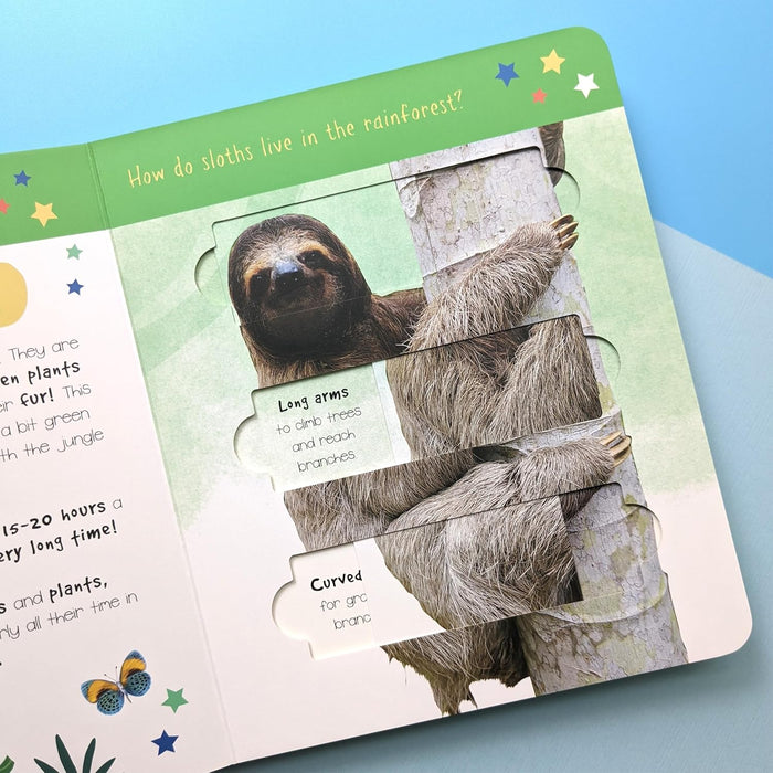 Jungle Animals: Who is Hiding in the Puzzle? (Little Wonders Puzzle Slider Board Book