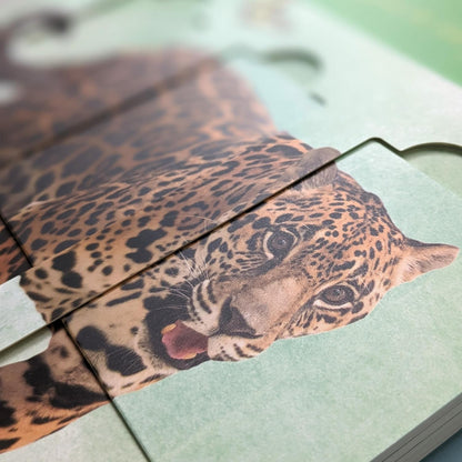 Jungle Animals