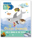 Sea Animals