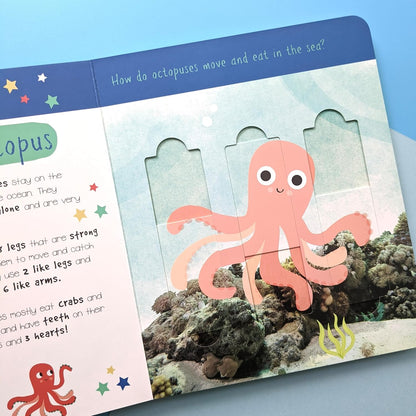 Sea Animals