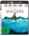 The Shallows - Gefahr aus der Tiefe (4K-UHD+Blu-ray