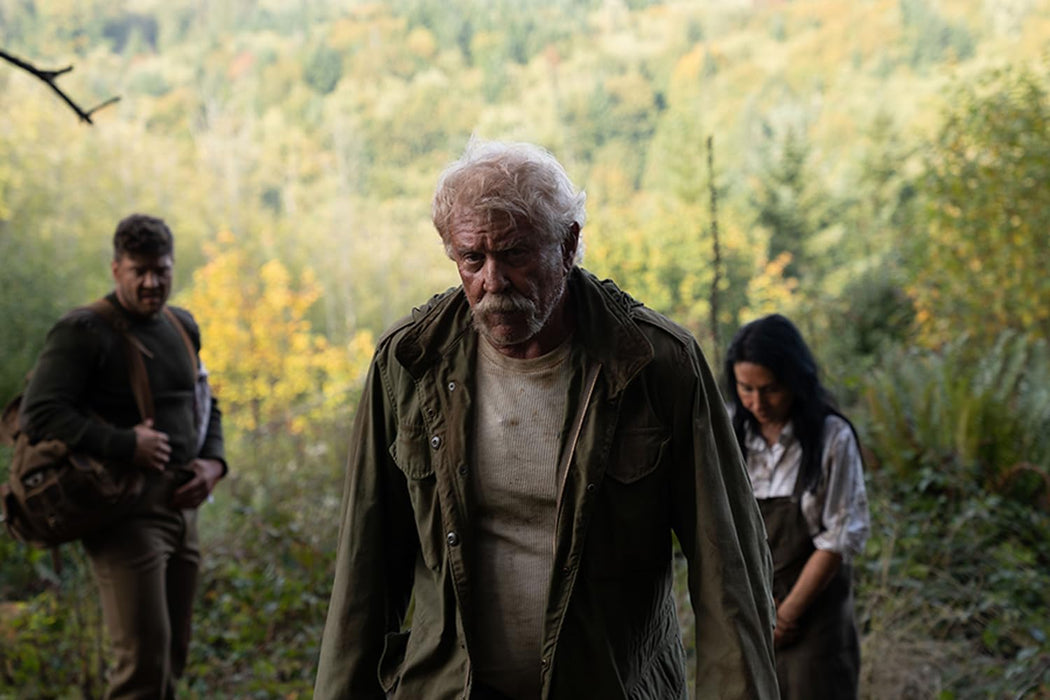 Wall Sticker Bee Flower 3D Window Decal Wall Sticker Home Decoration Art Mural Animal