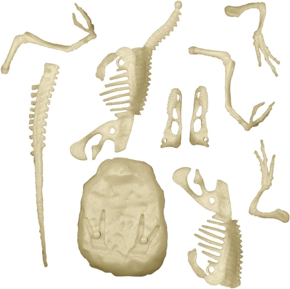 Clementoni Science & Play 78775 Velociraptor Excavation Series, 6+ Years