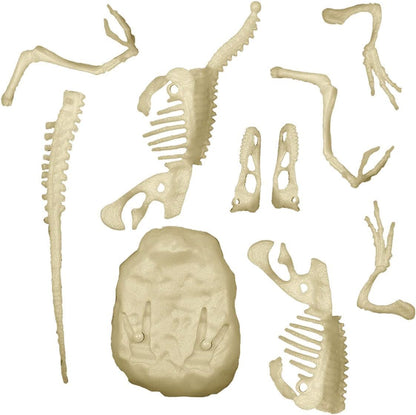 Clementoni Science & Play 78775 Velociraptor Excavation Series, 6+ Years