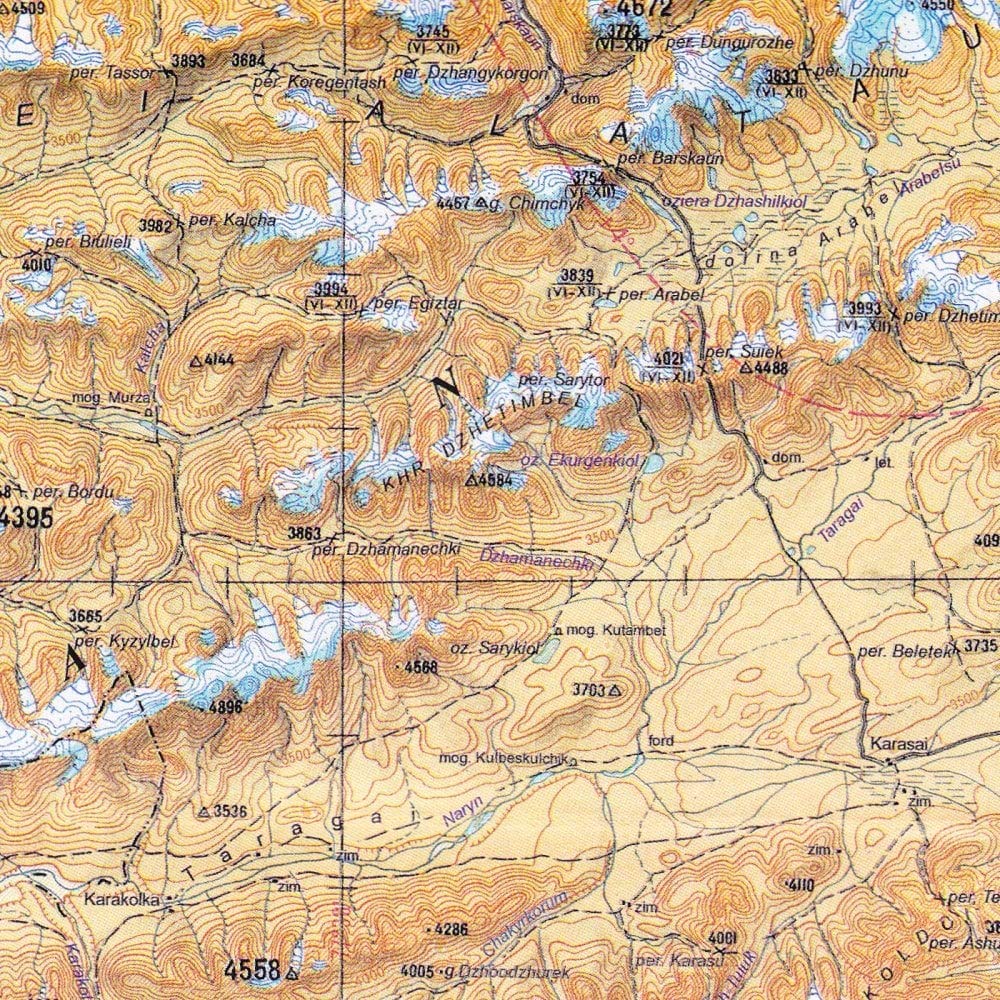 Naryn: Topographical (Central Asia Maps S.