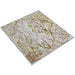 Dorrigo Raised Relief Map Dartmoor Unframed / Unmounted