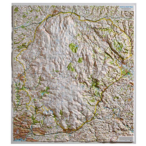 Dorrigo Raised Relief Map Dartmoor Unframed / Unmounted
