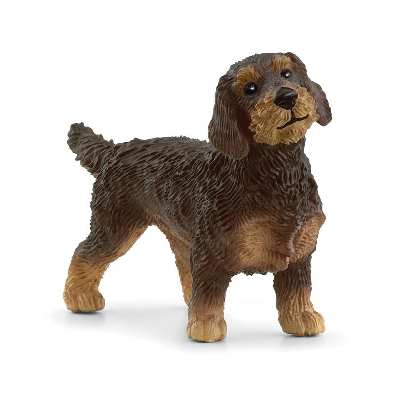 schleich 13972 FARM WORLD Wire-Haired Dachshund Figurine for ages 3+