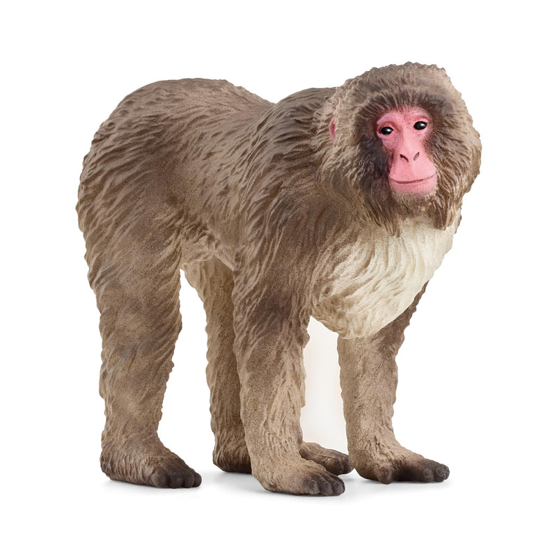 schleich 14871 WILD LIFE Japanese Macaque Figurine for ages 3+, Black