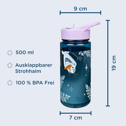 Undercover - Disney Frozen - Drinking Bottle (6600009913)