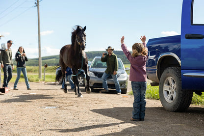 Heartland - Paradies für Pferde - Staffel 16