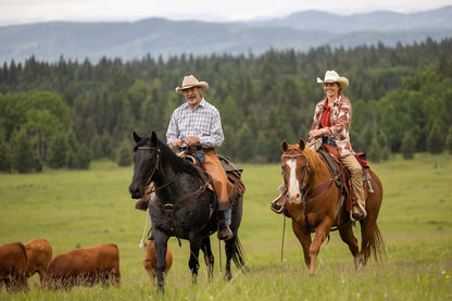 Heartland - Paradies für Pferde - Staffel 16