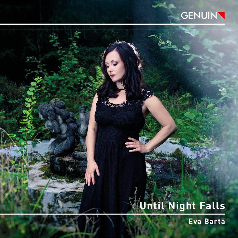 Eva Barta: Until Night Falls
