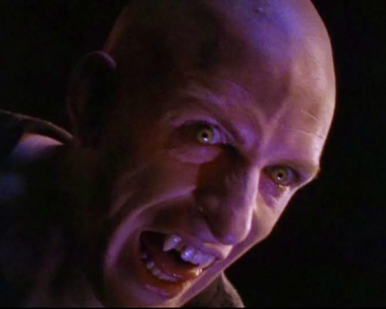 Nick Knight, der Vampircop, Staffel 3 / Die letzten 22 Folgen der Kult-Krimiserie (Pidax Serien-Klassiker)