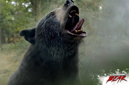 Cocaine Bear