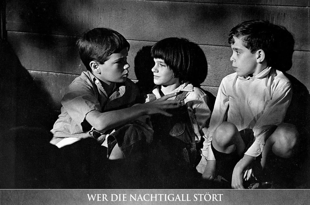 Wer die Nachtigall stört