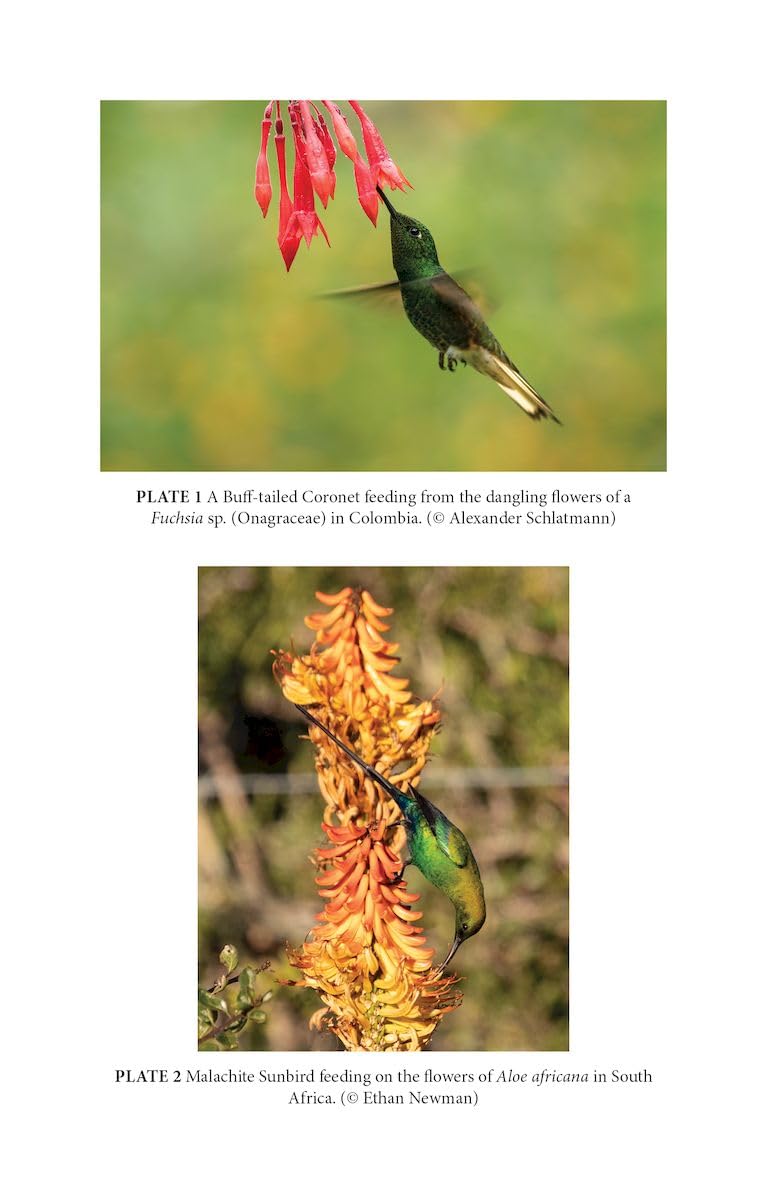 Birds and Flowers
