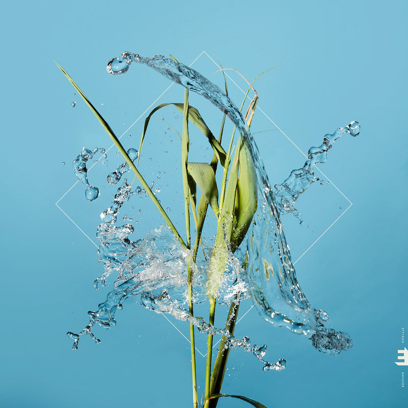 Stream